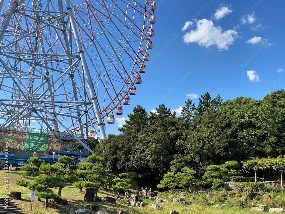 Fototapeta premium 木々の茂る遊び場