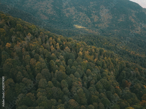 Beatiful forest ariel shoot in autumn