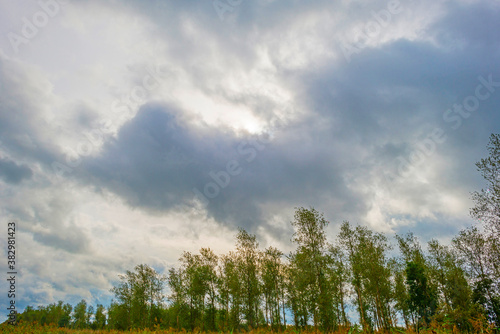 The edge of a lake in a green windy rainy wetland in spare sunlight under a grey white cloudy sky in autumn, Almere, Flevoland, The Netherlands, October 4, 2020 © Naj