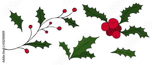 sprigs and red holly berries, vector set of doodle style elements, christmas symbol