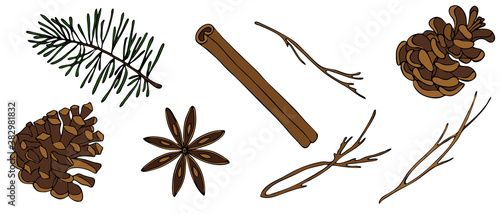 cinnamon, pine cone, star anise, twig, tree, vector set of elements in doodle style, decorative elements