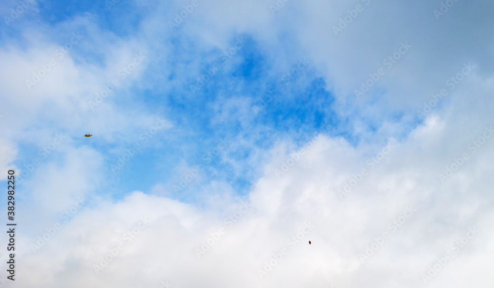 Leaves blowing in the wind in a panorama of white clouds in a blue cloudy sunlit sky in autumn, Almere, Flevoland, The Netherlands, October 4, 2020