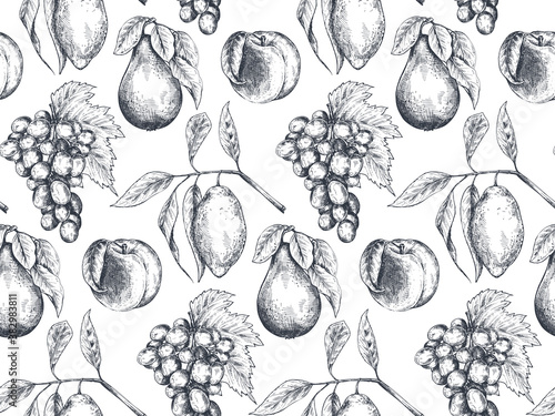 Vector seamless pattern with hand drawn fruits in sketch style. Farm market products.