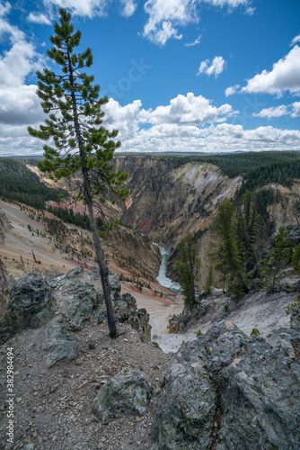 grand canyon of the yellowston from the north rim, wyoming, usa