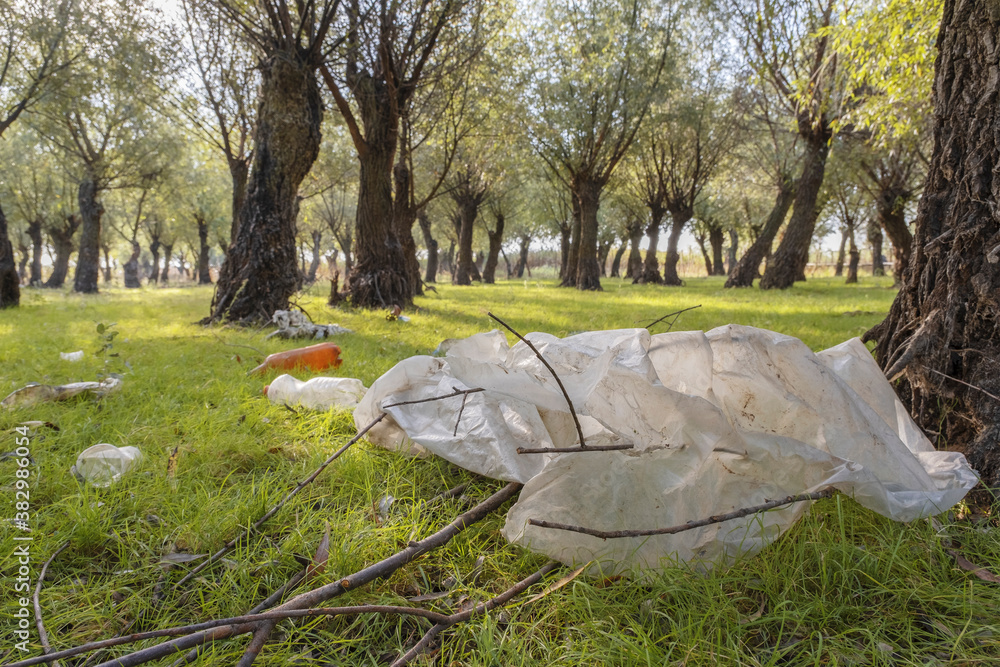 Plastic and other garbage thrown by tourists pollutes parks. Plastic garbage environmental pollution problem. Kartal Eco Park, Orlovka village, Reni raion, Odessa oblast, Ukraine, Eastern Europe