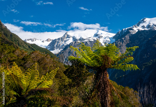 landscape in the mountains