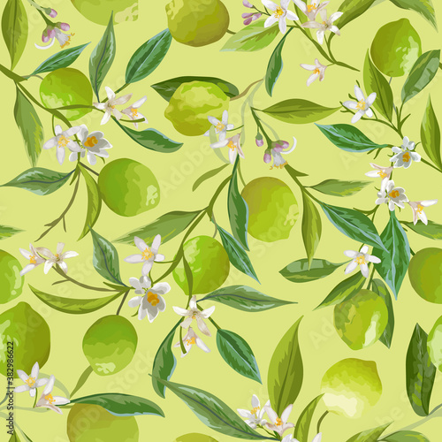 Lime Floral Background, Vector Seamless Fruit Pattern, Citrus Fruits, Flowers, Leaves, Limes Branches Texture