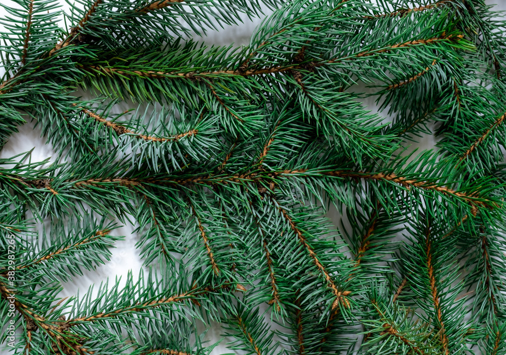 branch christmas tree background green evergreen horizontal blue fur pine