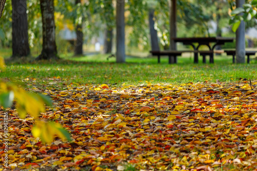 日本の秋の風景