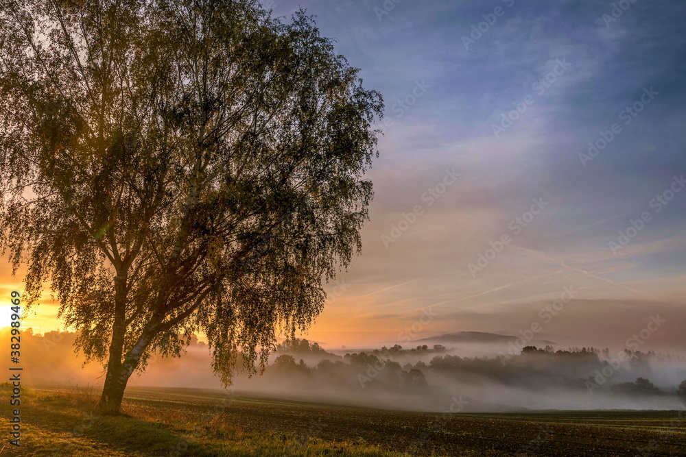 Herbstimmung