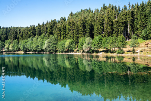 Beautiful view of a lake and forest under clear blue sky. Nature and Travel Tourism concept.