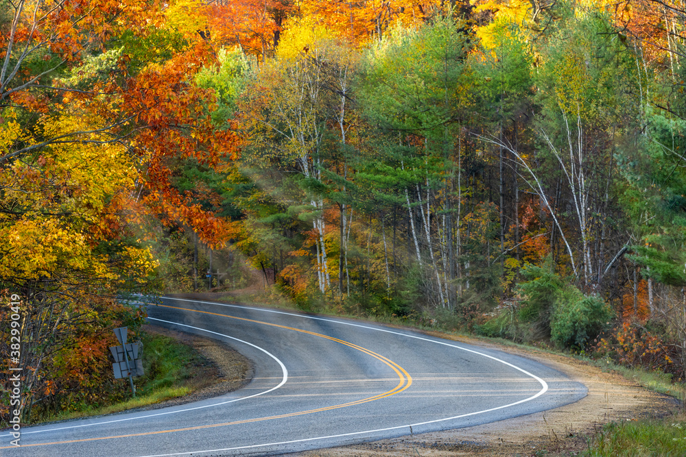 Good Morning Fall! Good Morning Fall!