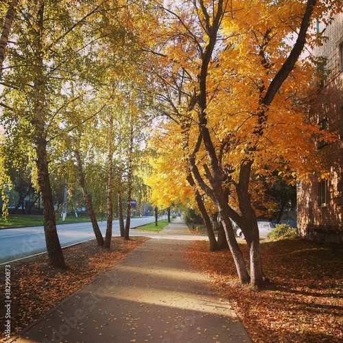 улица, горы, вода, осень