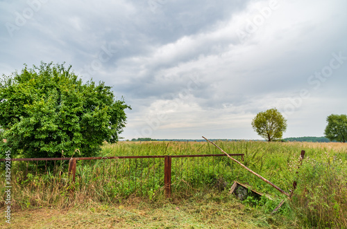 View of the field from an abandoned farm