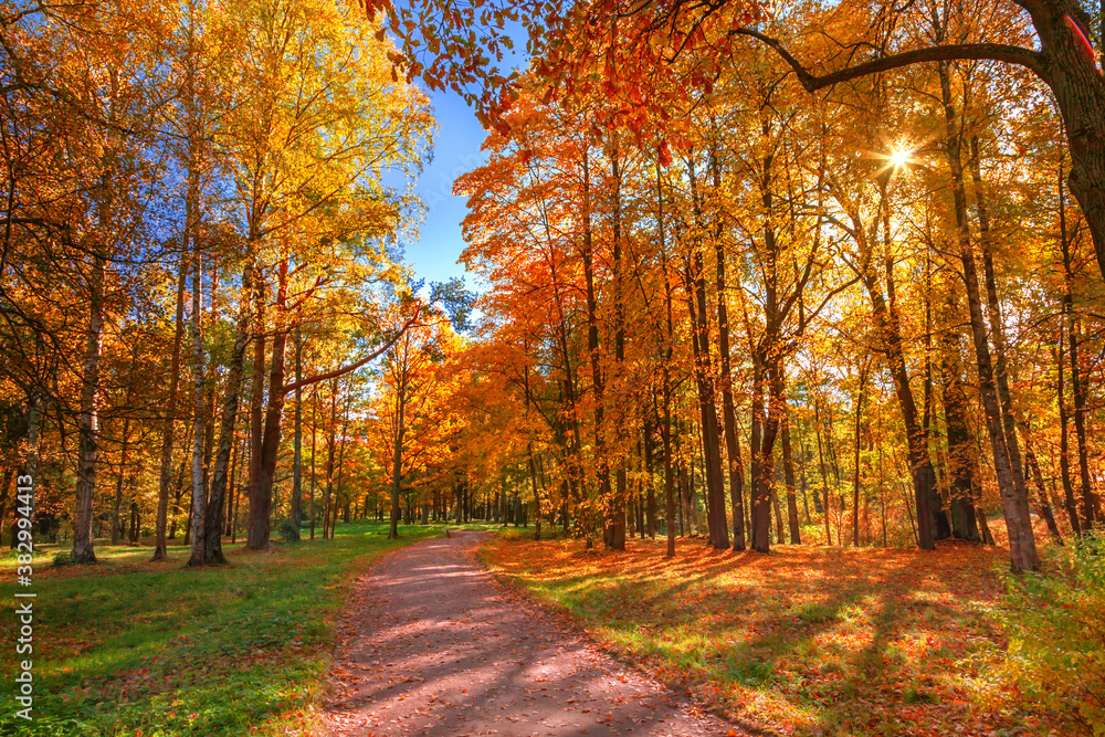 Obraz premium Autumn landscape