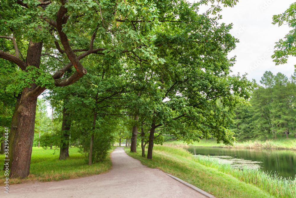 Obraz premium Landscape of a park in summertime