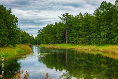 Landscape of a park in summertime