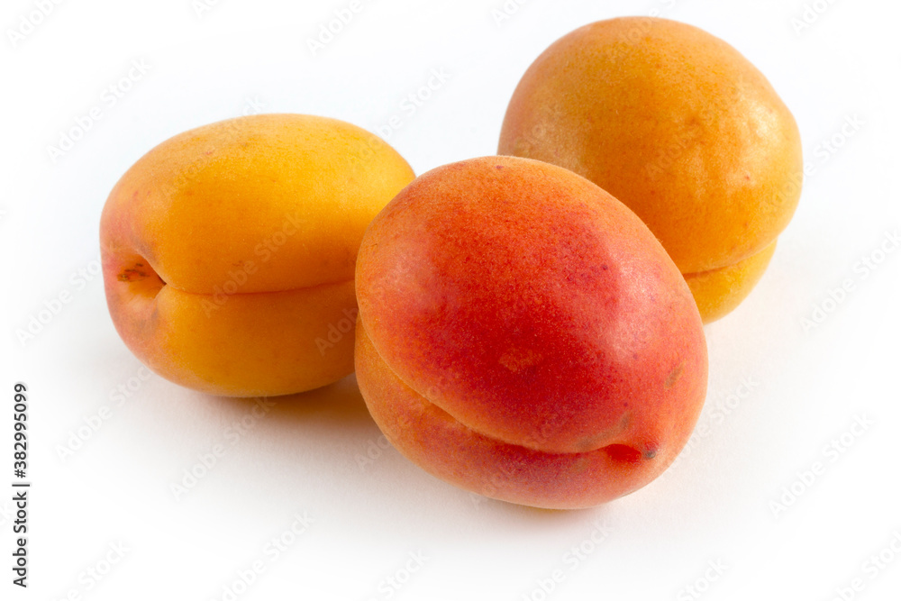 apricots on a white background apricots on a white background