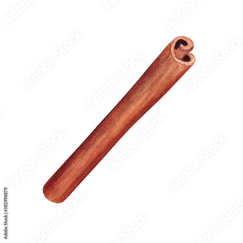 Cinnamon stick. Spicy cuisine ingredient. Isolated hand painted watercolor illustration on white background