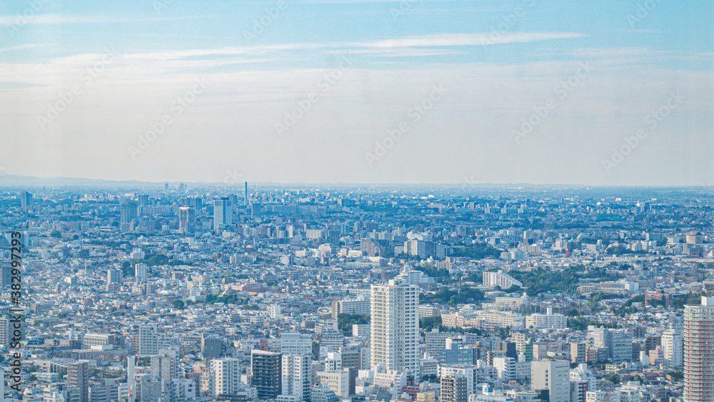 【都庁より】東京都・ビル群