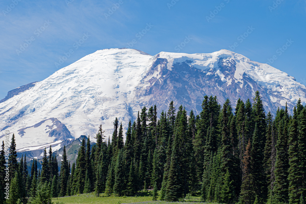 Fototapeta premium snow capped rainier