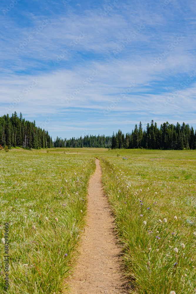 Obraz premium hiking a path of finding