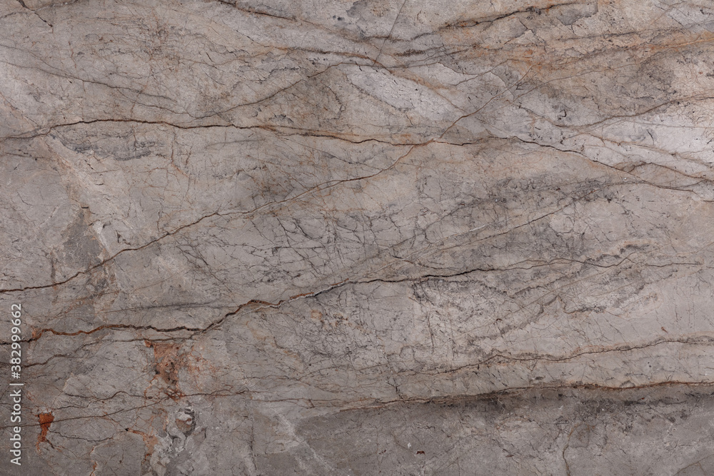 Silver Roots - natural polished marble stone, photo of slab texture for perfect interior, background or other design project. Silver Roots - natural polished marble stone, photo of slab texture for perfect interior, background or other design project.