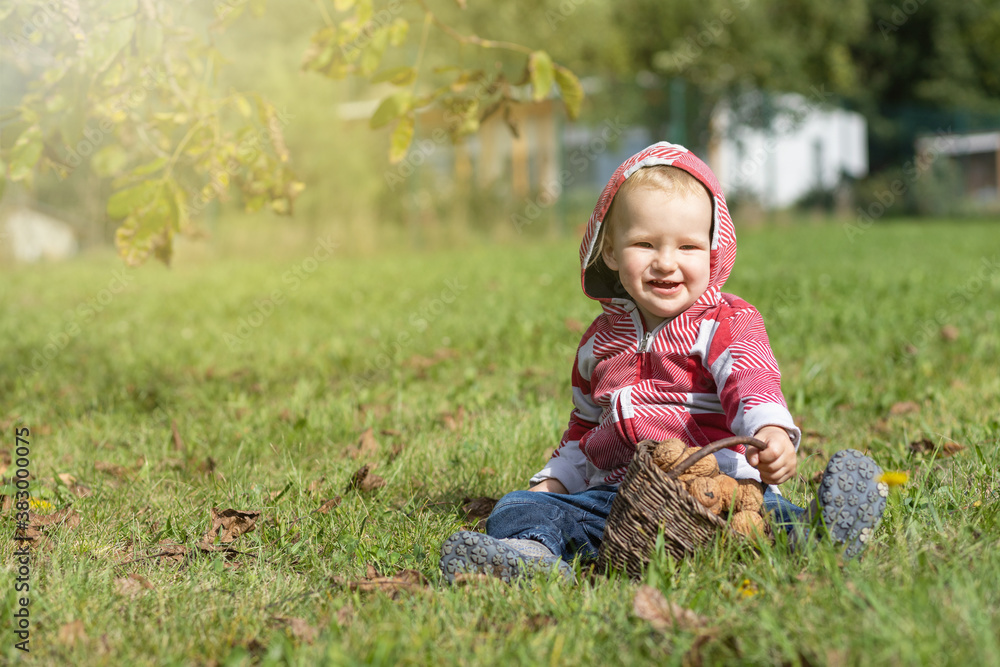 Portrait of smiling baby boy posing with handmade wicker backet full of walnuts in the autumn garden. Portrait of smiling baby boy posing with handmade wicker backet full of walnuts in the autumn garden.