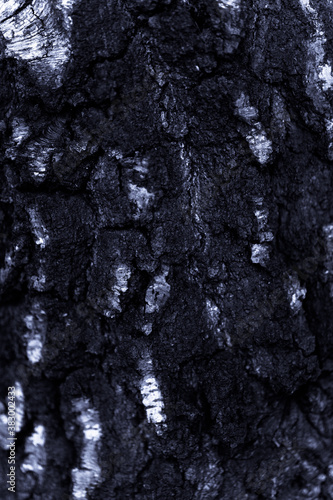 Fototapeta Naklejka Na Ścianę i Meble -  tekstura drewniana, Idealna tekstura jako tło do dalszych zdjęć i obróbek, kora drzewa stanowiąca idealne tło do posta