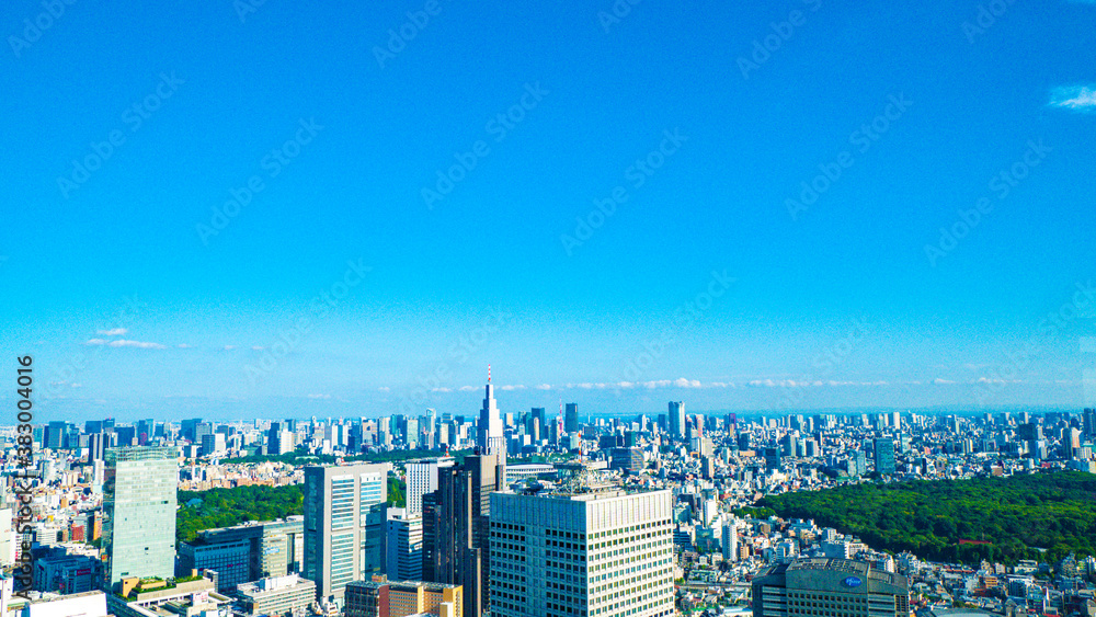 【都庁より】東京都・ビル群・風景