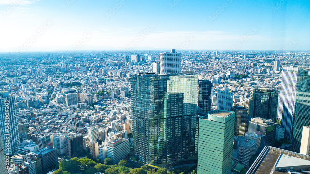 Fototapeta premium 【都庁より】東京都・ビル群・風景
