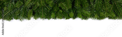 Christmas fir tree on white background