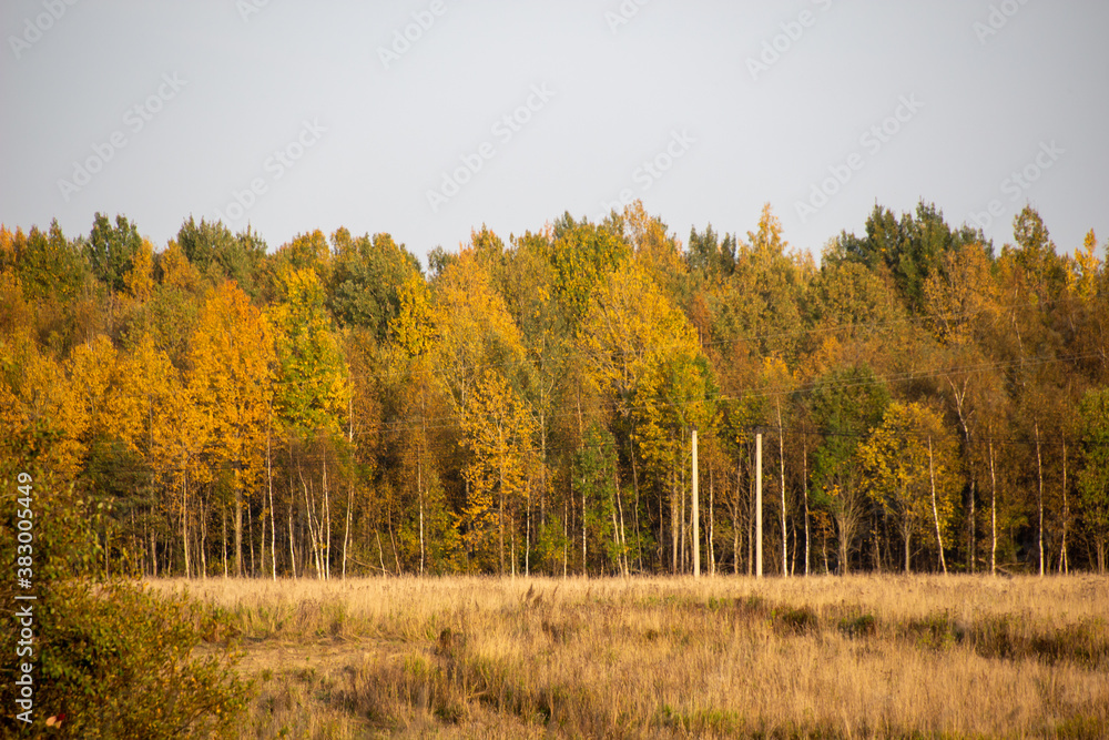 Fototapeta premium A beautiful picture of the landscape on the autumn evening.