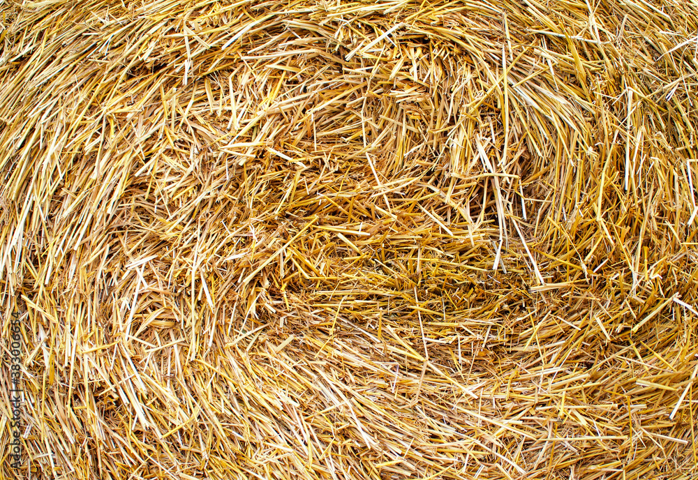 Bales of straw are illuminated by the sun. Bales of straw are illuminated by the sun.