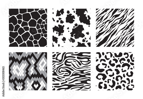 Animals skins patterns. Tiger giraffe zebra leopard vector seamless background. Illustration black and white seamless pattern tiger, giraffe print