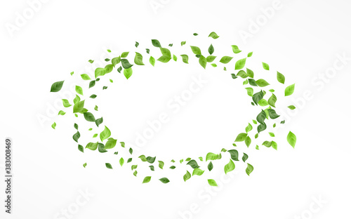 Olive Greenery Blur Vector White Background 