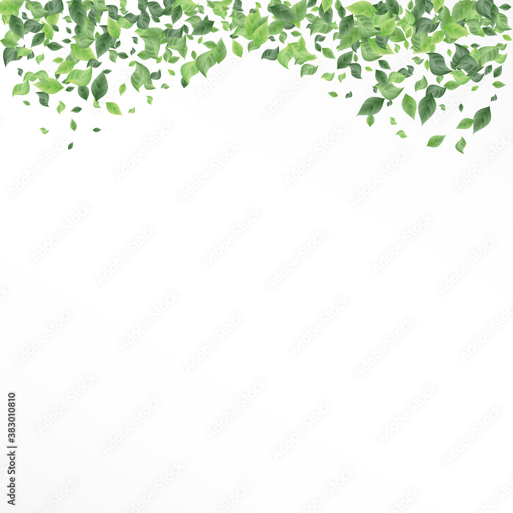 Green Leaves Blur White And Gray Background Green Leaves Blur White And Gray Background