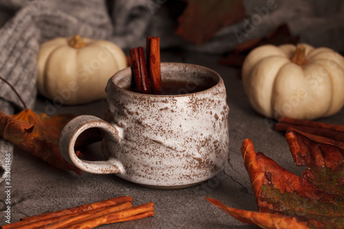 Autumn tea with cinnamon. Tea in the autumn scene. Autumn leaves and pumpkins