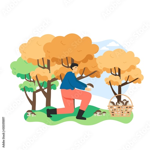 Man picking edible mushroom in autumn forest. Basket full of mushrooms. Outdoor fall season hobby concept vector illustration