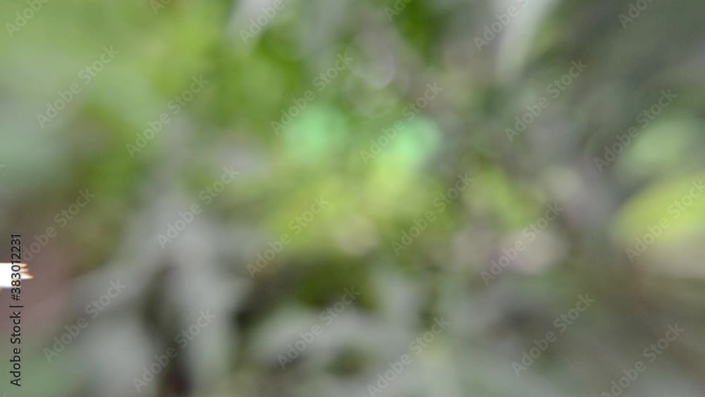 a dragonfly perched on a branch to rest its wings a dragonfly perched on a branch to rest its wings