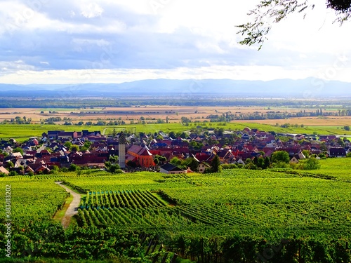 Europe, France, Great East, Alsace, High Rhine department, village of Pfaffenheim surrounded by vineyards