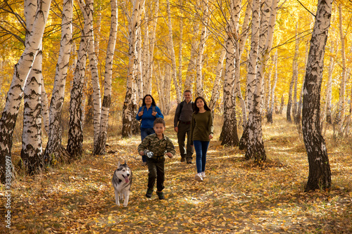 Family of four and Husky dog walking in the birch autumn forest.