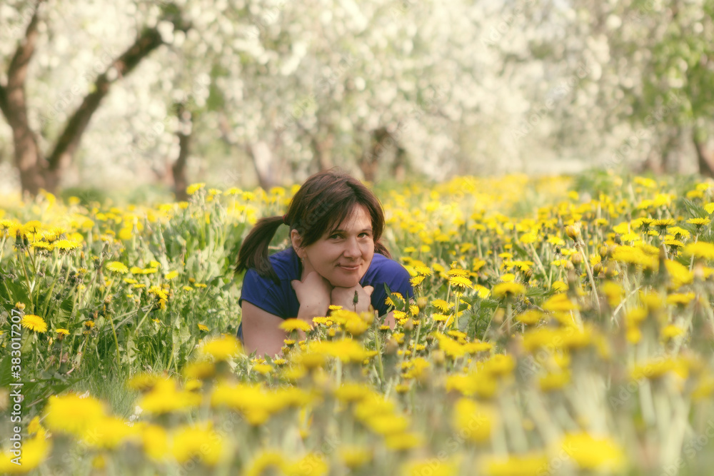 woman in apple orchard in blossom and dandelion field woman in apple orchard in blossom and dandelion field