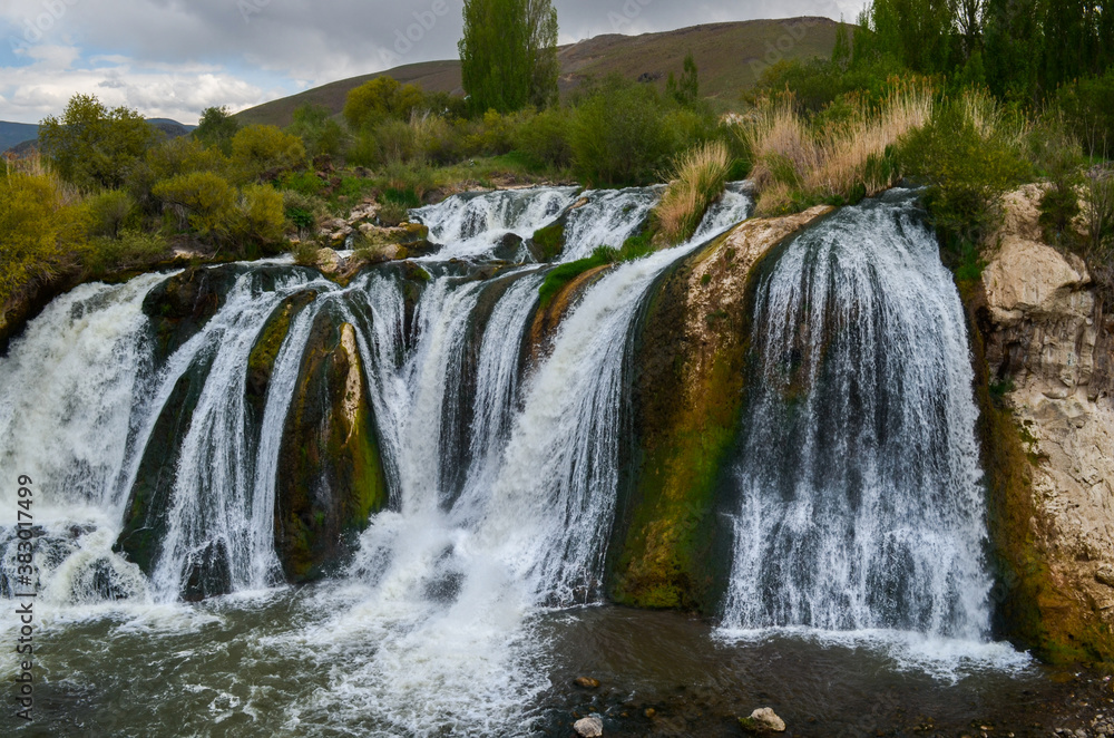 Fototapeta premium waterfall in the forest