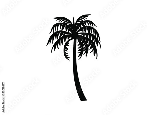 palm tree icon vector. coconut tree silhouette