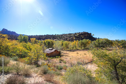 Virgin River in Autumn, Zion National Park, Utah photo