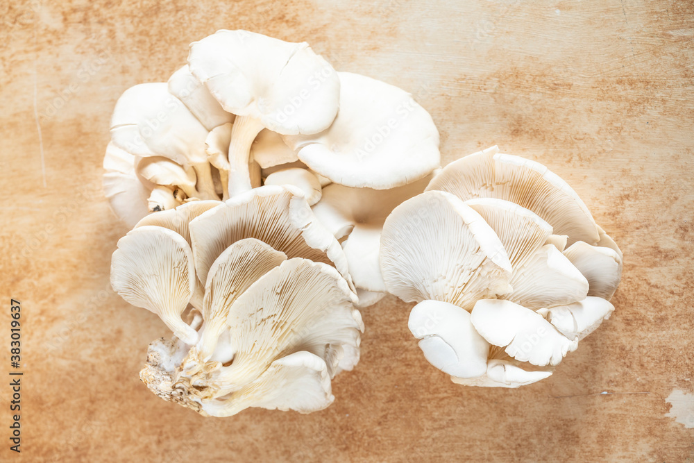 raw and fresh Oyster mushroom on table with copy space raw and fresh Oyster mushroom on table with copy space