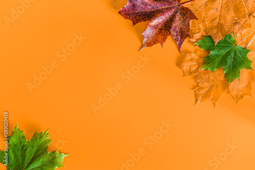 Autumn leaves over orange background with copy space