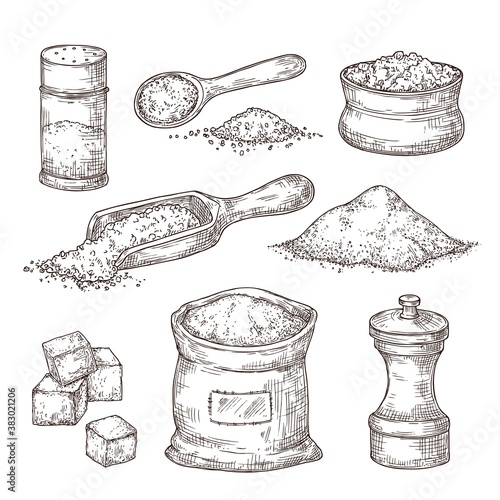 Salt sketch. Hand draw spice, vintage bowl spoon with sea salt powder. Food ingredients to cook, isolated pepper shaker vector illustration. Salty and pepper sketch, shaker container