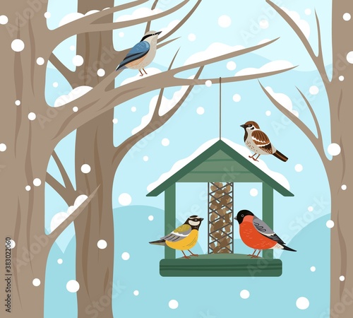 Winter feeder. Snow woodland, birds food on tree poster. Feeding wild animals on nature, flat bullfinch chickadee robin vector illustration. Birdwatching and birdhouse, feeding house